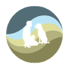 dog school dog training