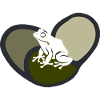 amphibian tree frog quark
