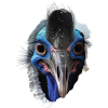 Kasuar