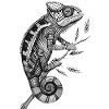 Chamäleon