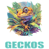 Geckos Geckos