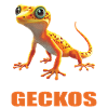Geckos Geckos