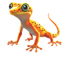 Geckos Gecko
