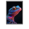 Geckos Geckos
