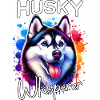 Sled Dog Whisperer Husky