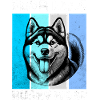 Husky Sled Dog