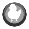 Chicken, poultry