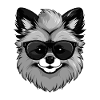 Pomeranian Dog Pomeranian Cool
