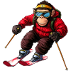 Ski Affe