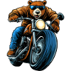 Ours Motard / Moto Ours
