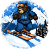 Bear Skier / Ski Bear