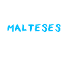 Maltese Malteser