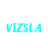 Vizsla Magyar Vizsla