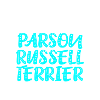 Parson Russell Terrier