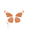 Protect the monarch butterflies