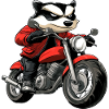 Dachse Motorrad / Motorradfahrer Dachs