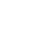 Student 2006