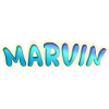 Gift for Marvin