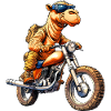 Camels Motorcycle