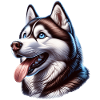 Schlittenhund Husky