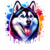 Sled Dog Motif Husky