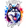Husky Fille Chien de traîneau