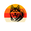 Husky Team Schlittenhund