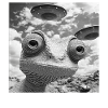 Chamäleon