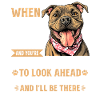 Pitbull Terrier Dog Owner
