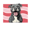 Pitbull Terrier Dog Owner