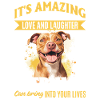 Pitbull Terrier Dog Owner