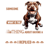 Pitbull Terrier Dog Owner