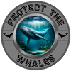 Protect the Whales