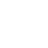 Baseball officiel mais inspecteur