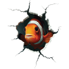 Clownfisch