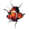 Clownfisch