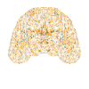 Irish Setter Irish Setter Geometric