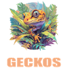 Geckos Geckos