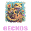 Geckos Geckos
