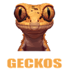 Geckos Gecko