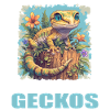 Geckos Gecko