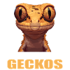 Geckos Geckos