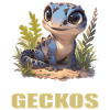 Geckos Geckos