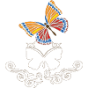 Printemps Papillon