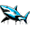 Shark