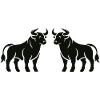 bulls