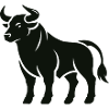 bull