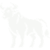 bull