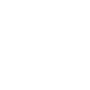 1981 1981