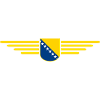 Bosnia & Herzegovina T-Shirt